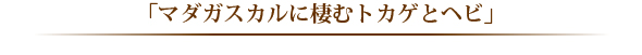 「マダガスカルに棲むトカゲとヘビ」 