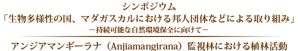 アンジアマンギーラナ（Anjiamangirana）監視林における植林活動