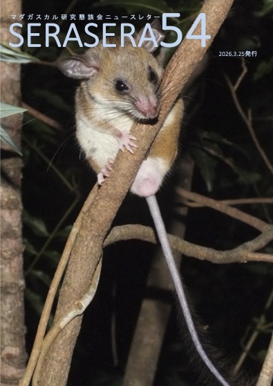 ����54��